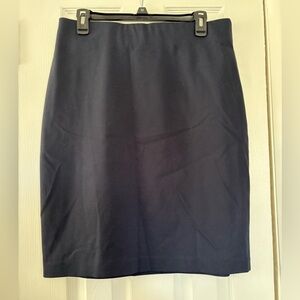 Philosophy Skirt